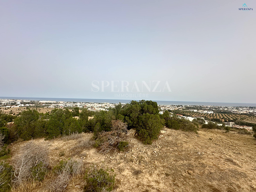 Hammamet&nbsp;Hammamet&nbsp;Vente&nbsp;Surfaces&nbsp;Terrain zac