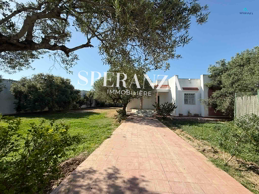 Hammamet&nbsp;Hammamet&nbsp;Location&nbsp;Appart. 3 pi�ces&nbsp;Villa fabio