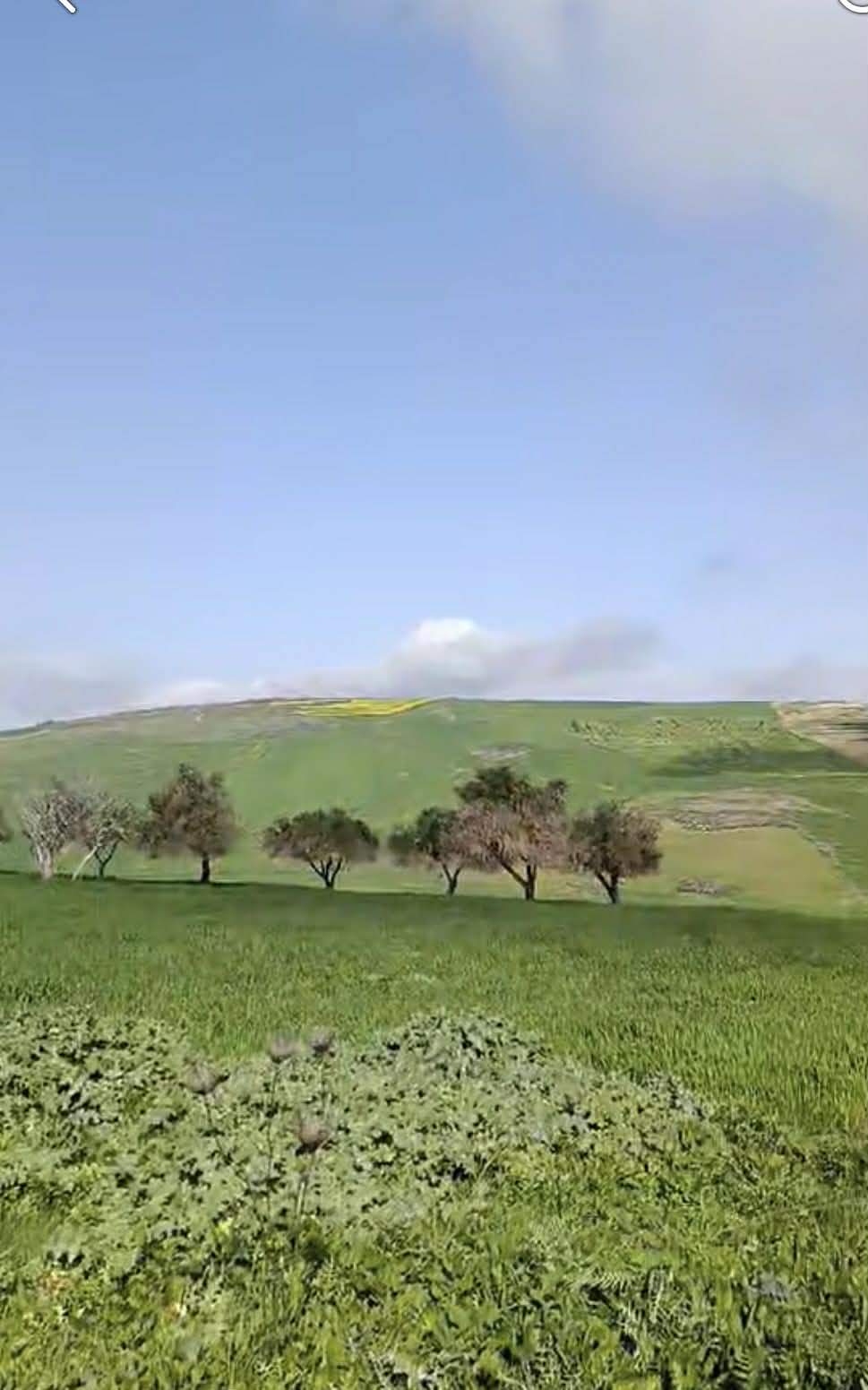 Terrain&nbsp;Terrain agricole