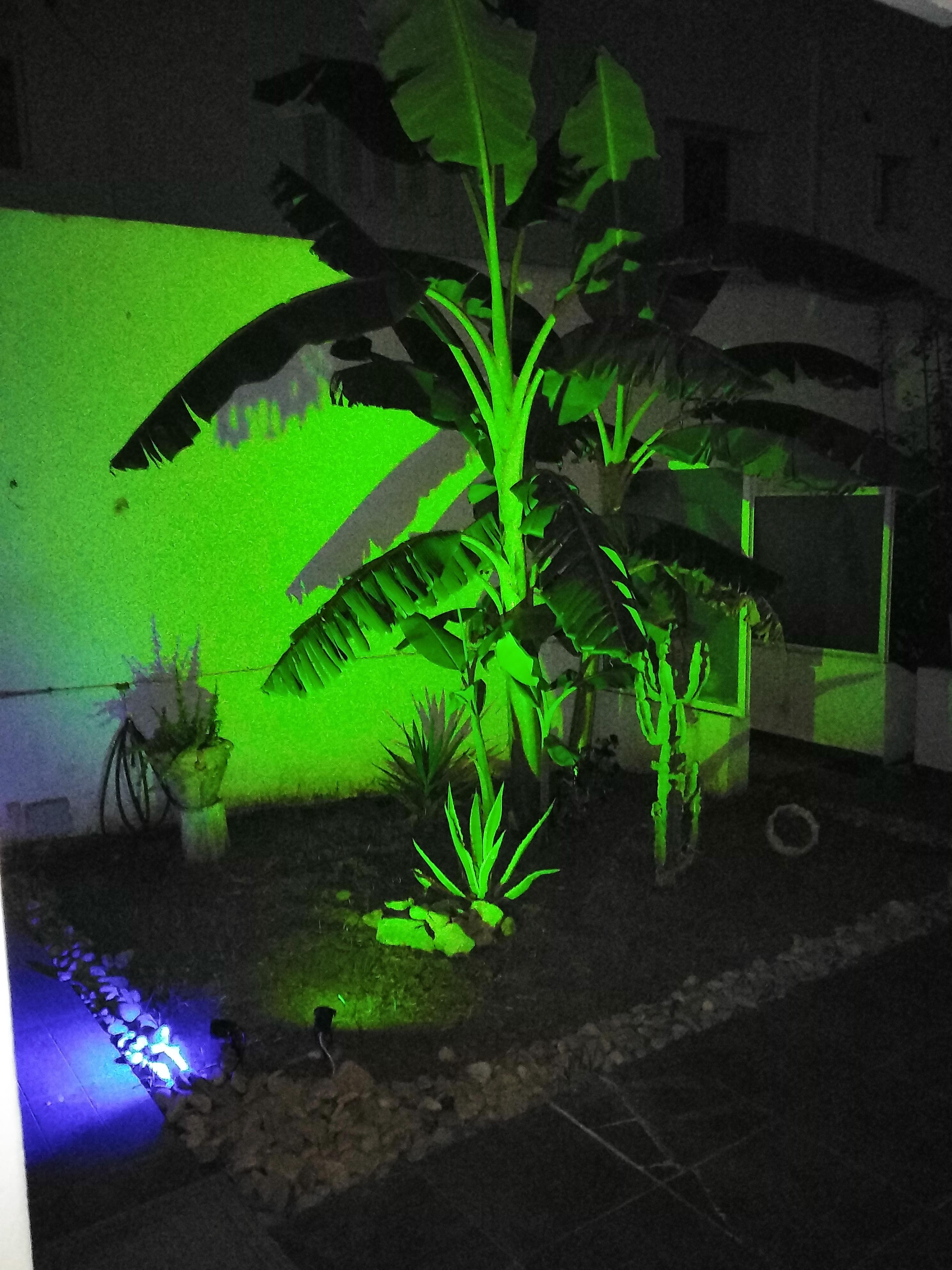 Mnihla&nbsp;Cite Ennasr&nbsp;Location&nbsp;Maisons&nbsp;Villa spacieuse avec piscine  a cit� ennaser 2