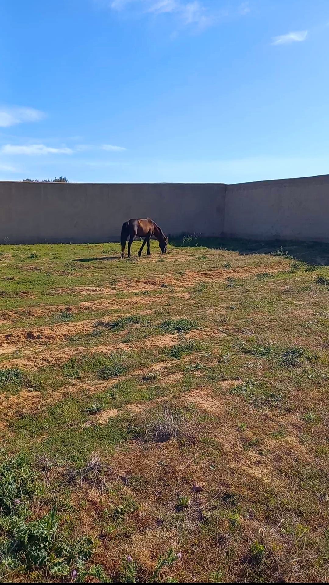 Terrain&nbsp;Terrain agricole