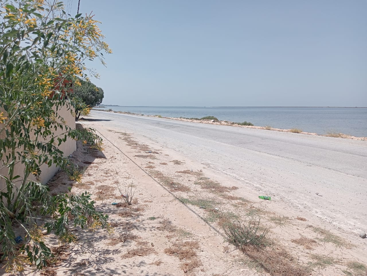 Bekalta&nbsp;Bekalta&nbsp;Terrain&nbsp;Terrain agricole&nbsp;Magnifique domaine � 400m d'une ile vierge