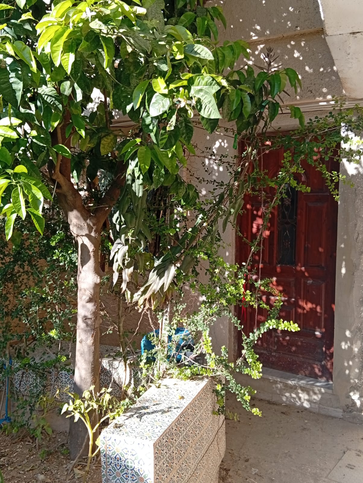 Location&nbsp;Appart. 1 pi�ce