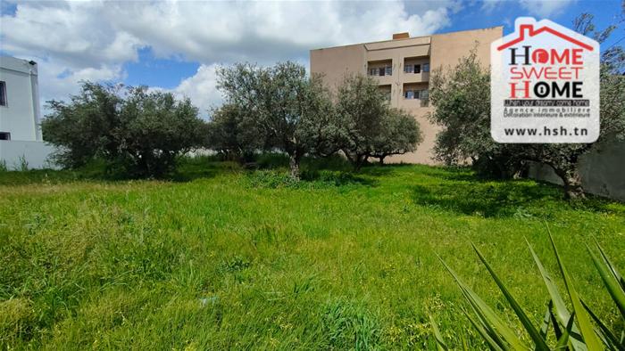 Terrain&nbsp;Terrain nu