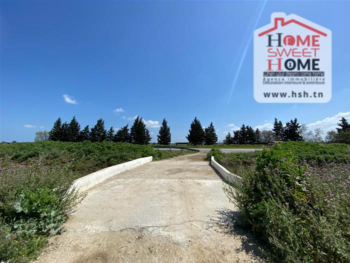 Sidi Thabet&nbsp;Sidi Thabet&nbsp;Vente&nbsp;Surfaces&nbsp;Terrain villa pivoine � sidi thabet