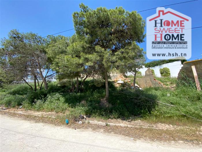 Vente&nbsp;Autre