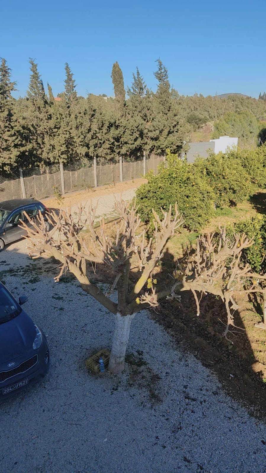 Menzel Bouzelfa&nbsp;Menzel Bouzelfa&nbsp;Terrain&nbsp;Terrain agricole&nbsp;Belle petite ferme � menzel bouzelfa