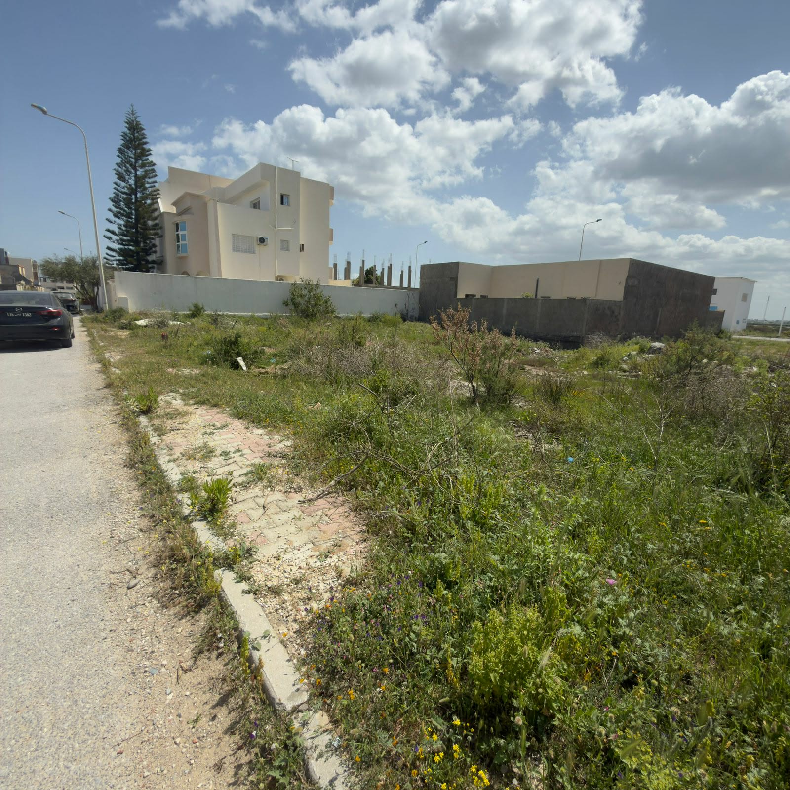 Terrain&nbsp;Terrain nu