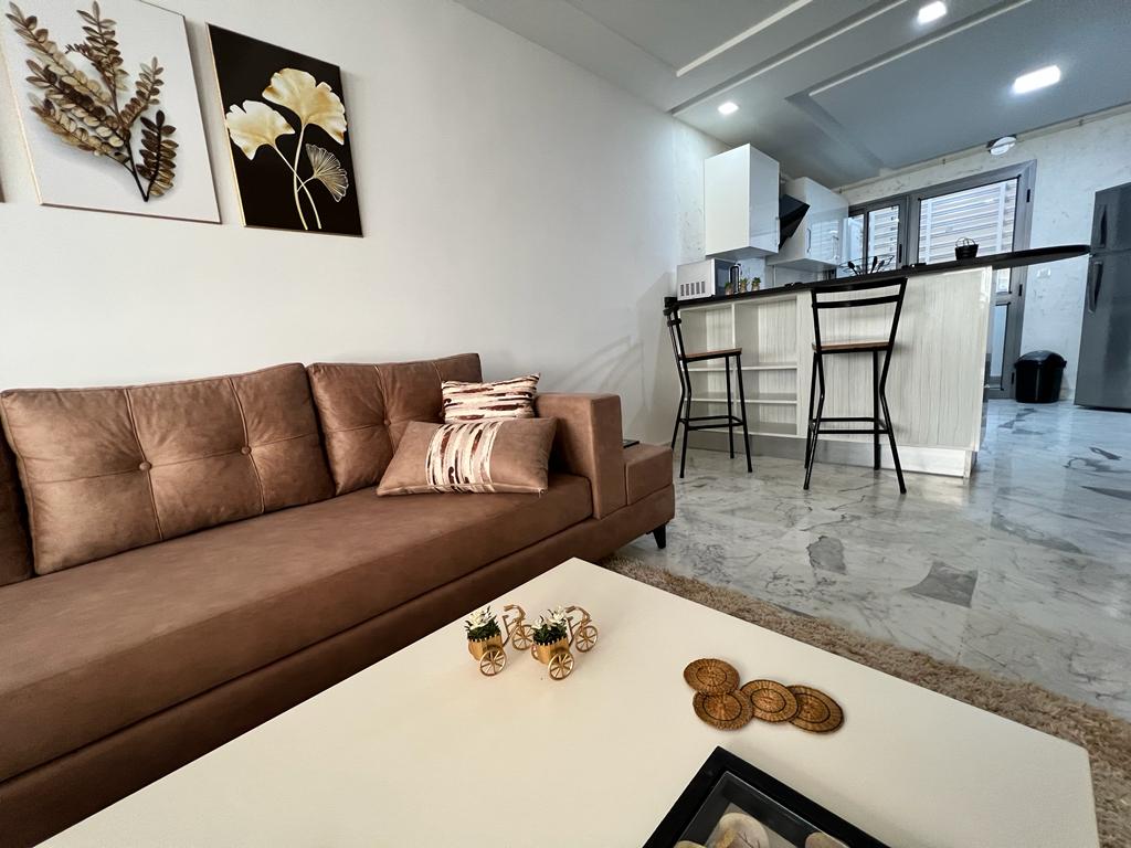 Ariana Ville&nbsp;Cite Ennasr 1&nbsp;Location&nbsp;Appart. 2 pi�ces&nbsp;S1 meubl� lux