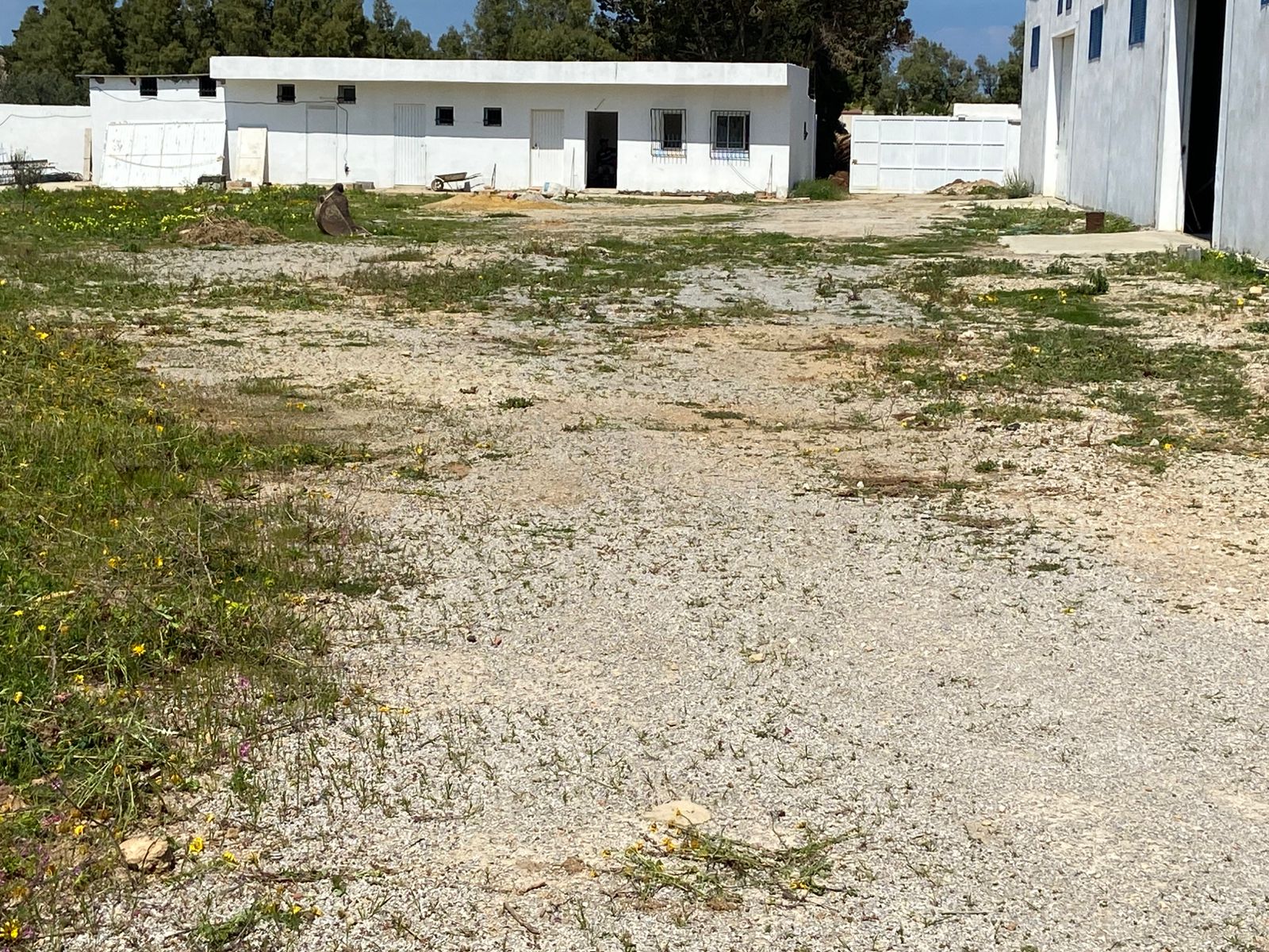 Soliman&nbsp;Soliman&nbsp;Bureaux & Commerces&nbsp;Atelier,Garage&nbsp;Entrep�t neuf de 2 000 m2 � soliman