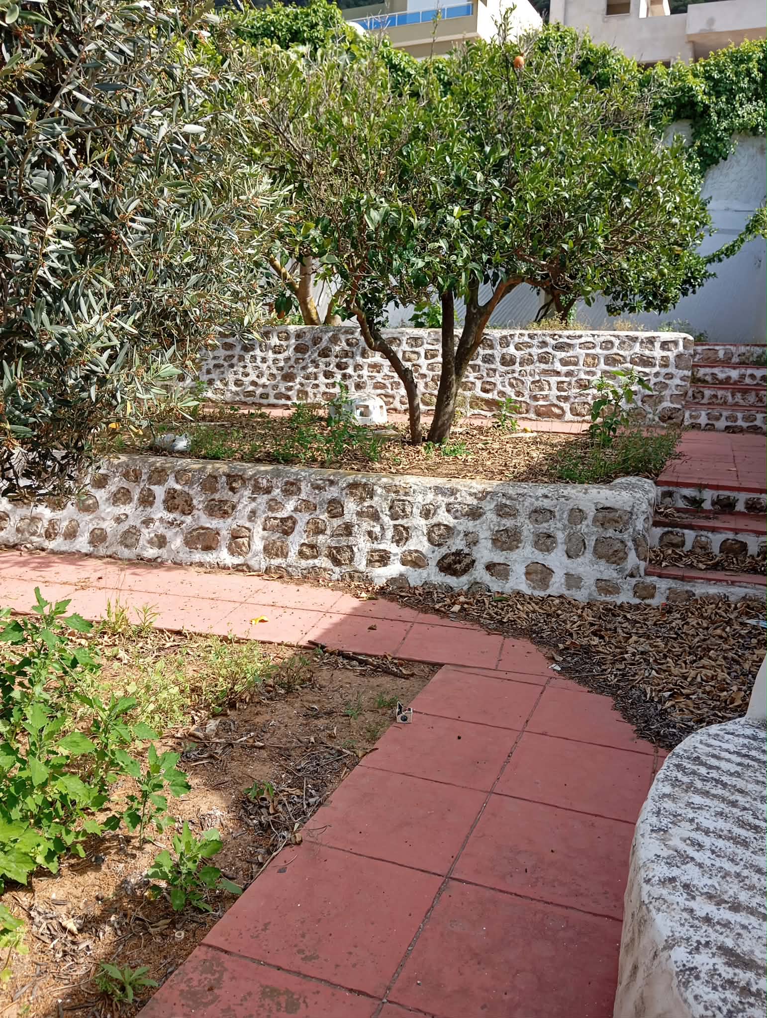 Ras Jebel&nbsp;Rafraf Plage&nbsp;Location vacances&nbsp;Maisons&nbsp;Belle villa style arabe avec grand jardin � rafraf