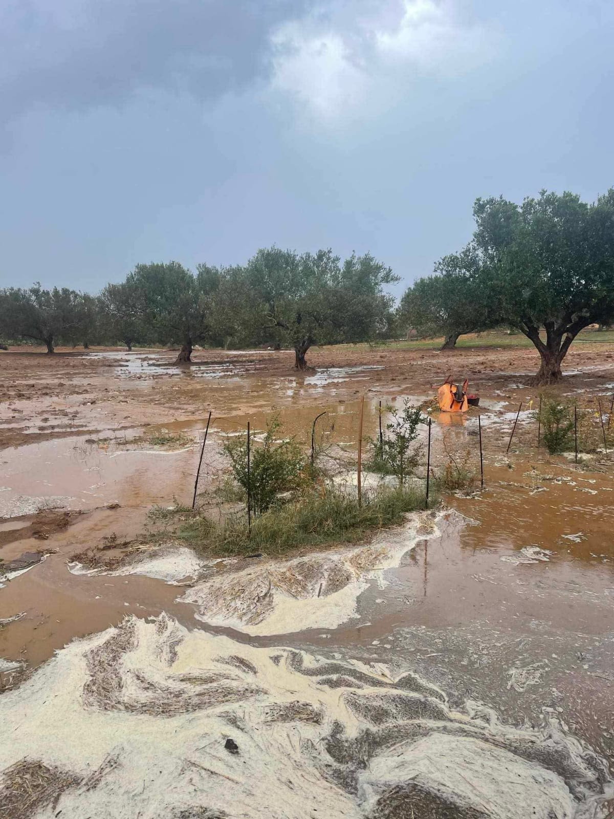 Terrain&nbsp;Terrain agricole