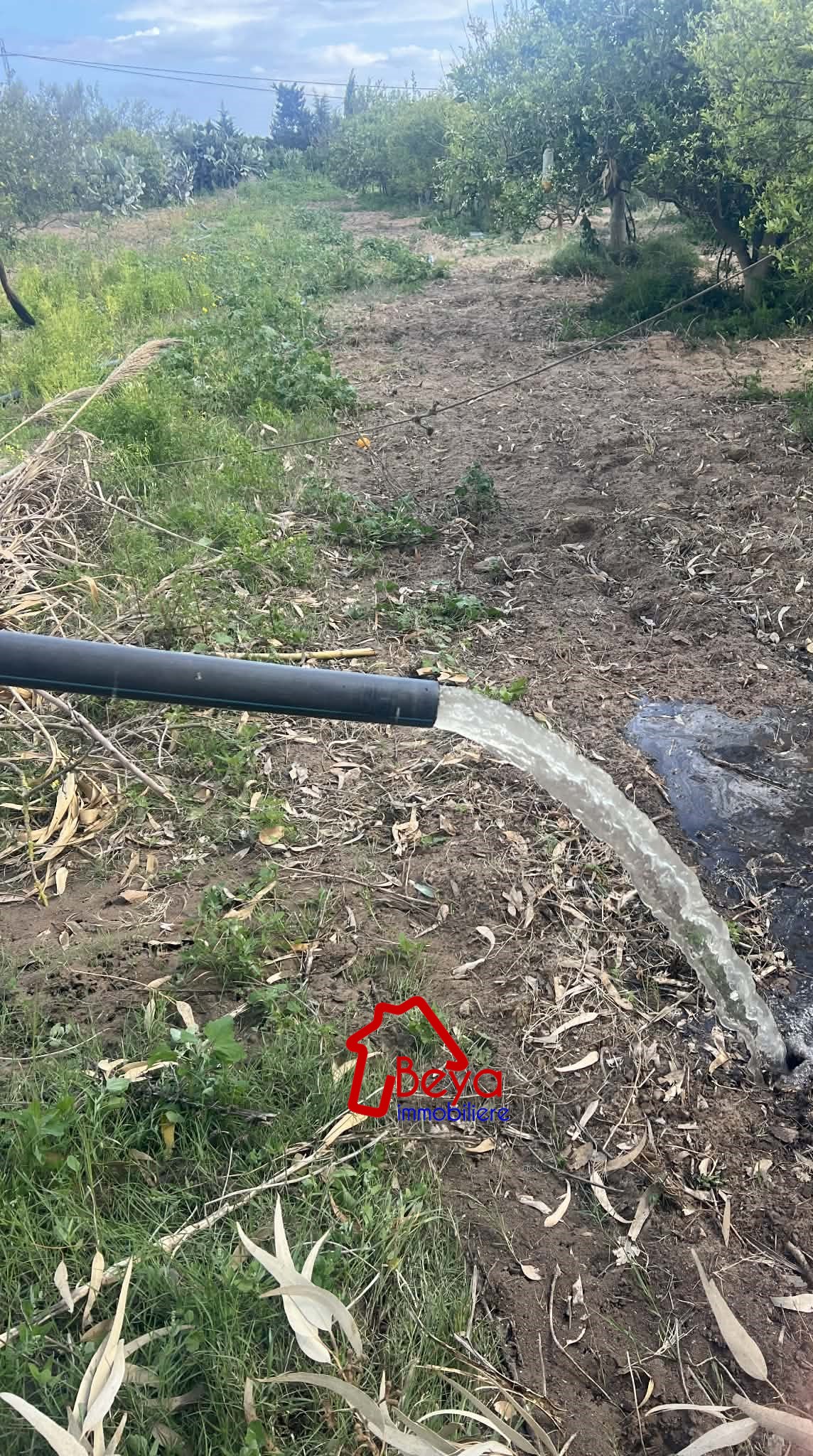 Terrain&nbsp;Terrain agricole