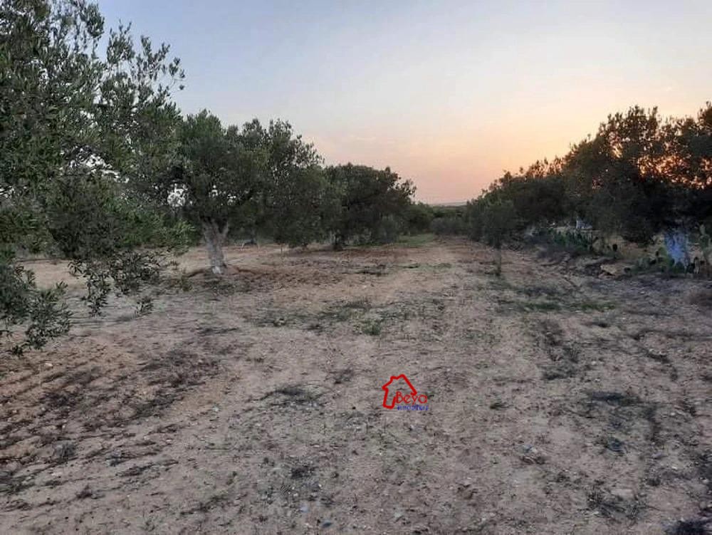 Terrain&nbsp;Terrain agricole