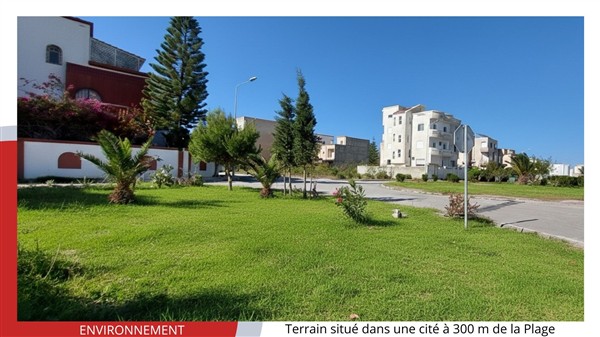 Terrain&nbsp;Terrain nu
