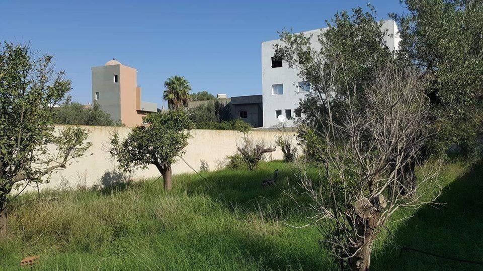 Hammamet&nbsp;Bir Bouregba&nbsp;Terrain&nbsp;Terrain nu&nbsp;Terrain de 500m en face gare birbouregba hammamet