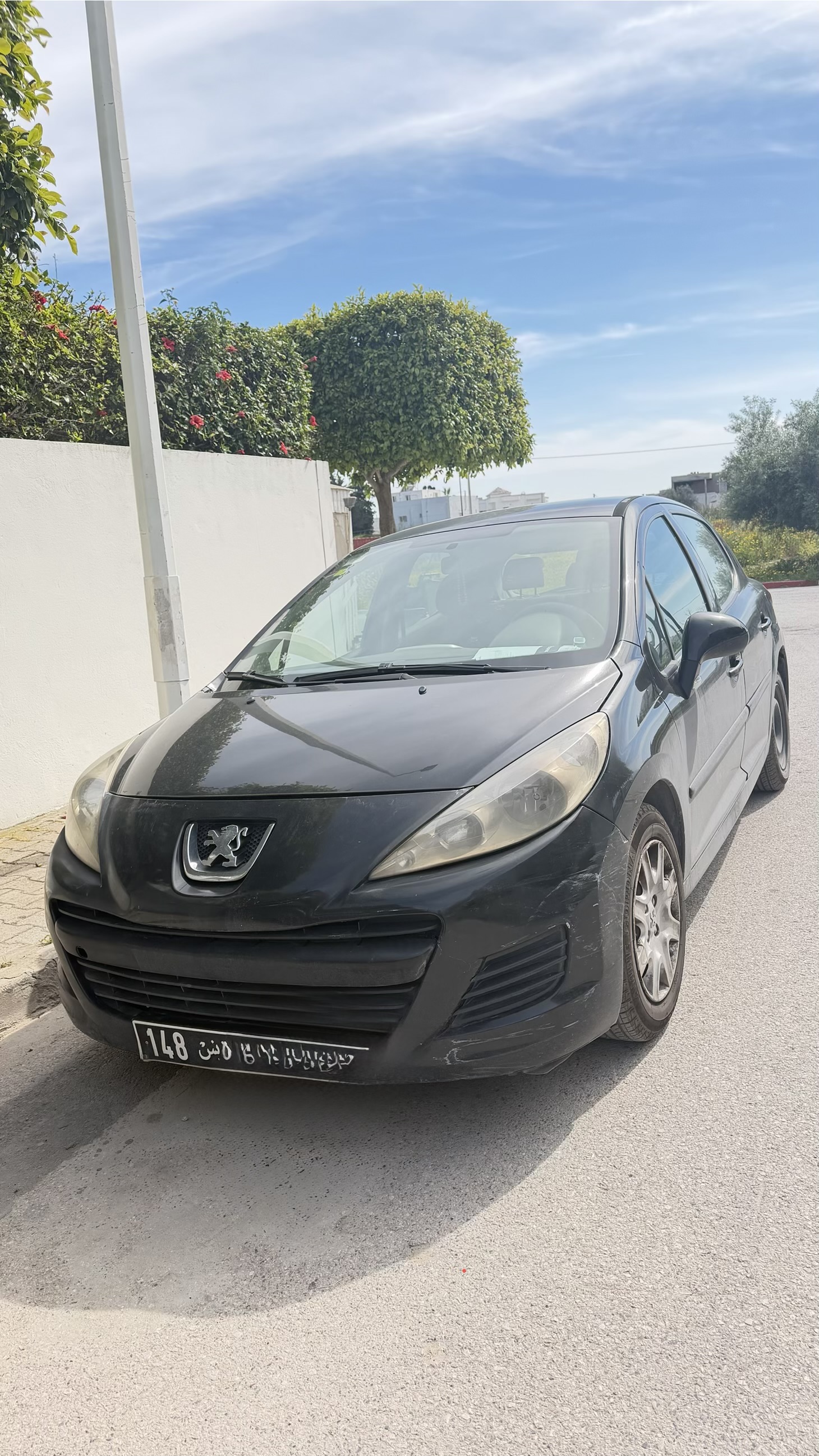 Peugeot&nbsp;207