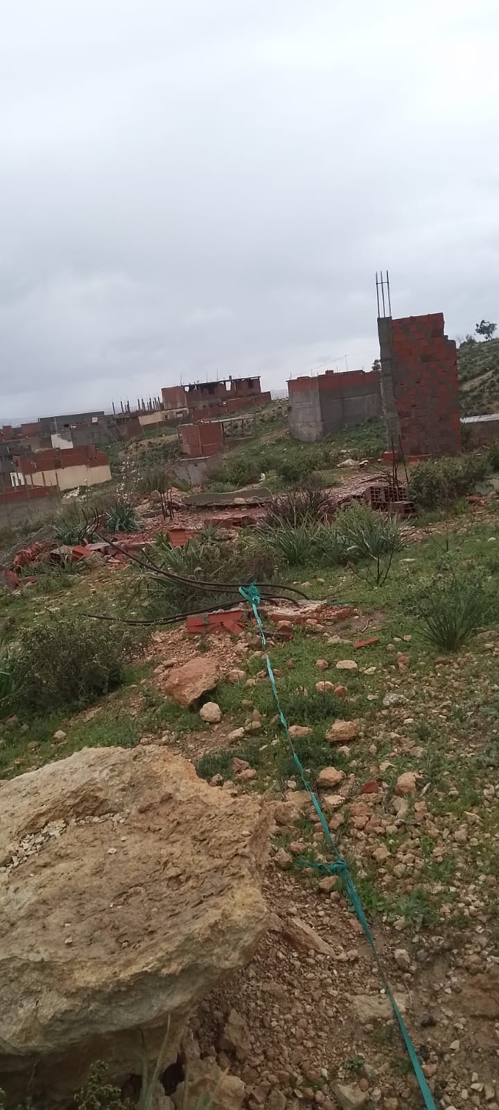 Terrain&nbsp;Terrain nu