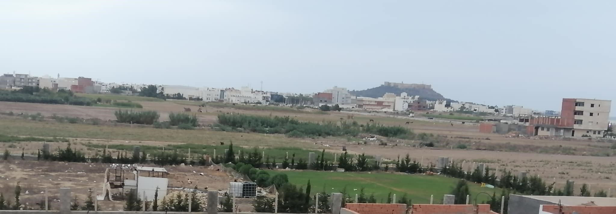 Kelibia&nbsp;Kelibia&nbsp;Terrain&nbsp;Terrain nu&nbsp;Lot de terrain �  k�libia