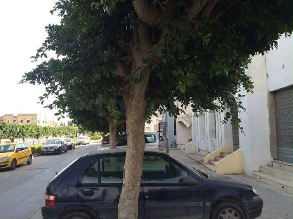 Bou Mhel El Bassatine&nbsp;Bou Mhel&nbsp;Vente&nbsp;Appart. 3 pi�ces&nbsp;Boumhel cit� el iklil