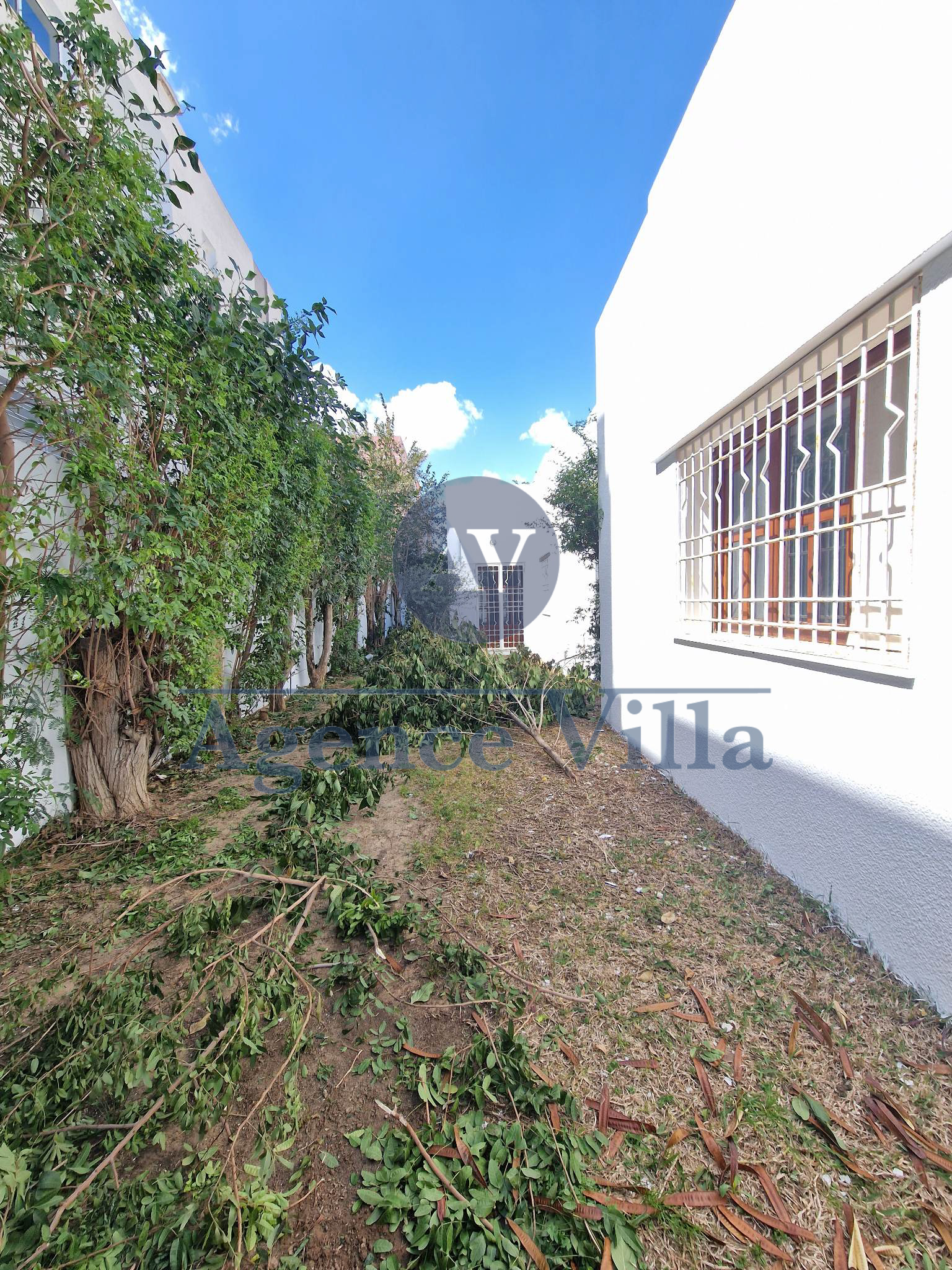 La Marsa&nbsp;Marsa Erriadh&nbsp;Location&nbsp;Appart. 5 pi�ces+&nbsp;Villa plain pied s4 � la marsa