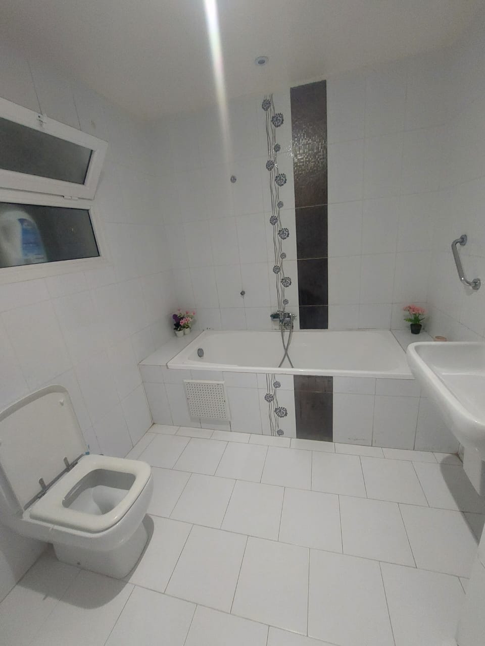 Location&nbsp;Appart. 2 pi�ces