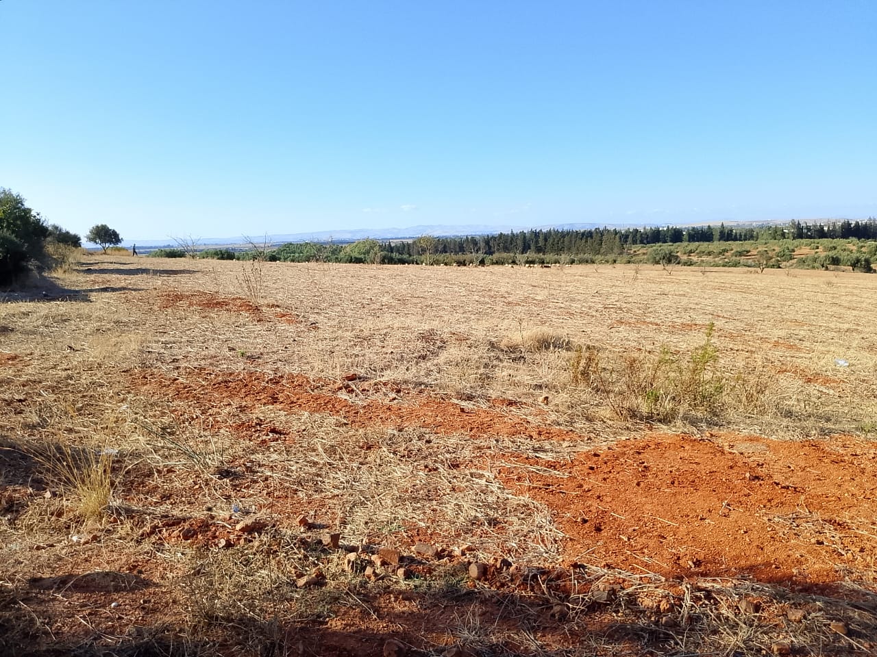 Sidi Thabet&nbsp;Sidi Thabet&nbsp;Terrain&nbsp;Terrain agricole&nbsp;Terrain de 1 hectare � sidi thabet jabbes