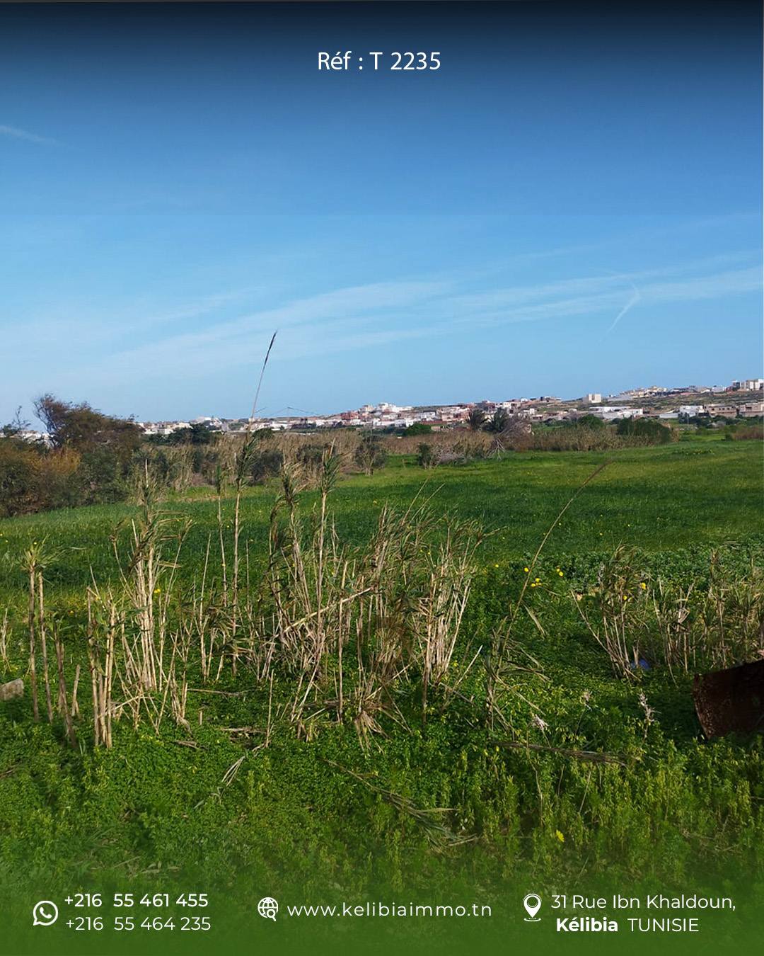 Terrain&nbsp;Terrain agricole