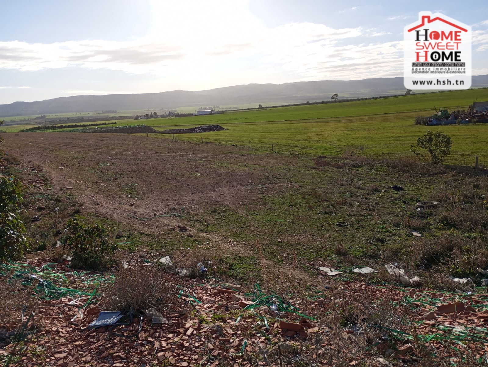 Teboursouk&nbsp;Teboursouk&nbsp;Terrain&nbsp;Terrain nu&nbsp;Terrain promoteur bristolt�boursouk