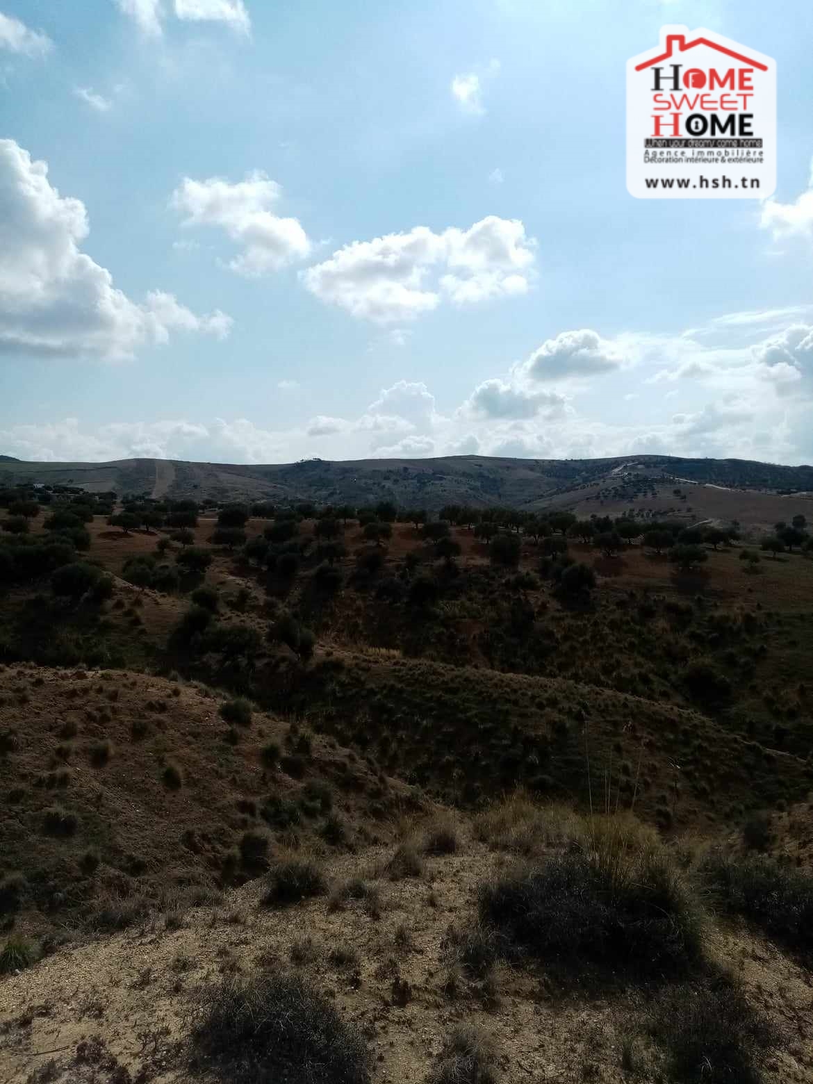 Terrain&nbsp;Terrain agricole