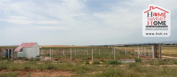 Borj El Amri&nbsp;Borj El Amri&nbsp;Terrain&nbsp;Terrain agricole&nbsp;Terrain agricole zoe � messadina borj amri