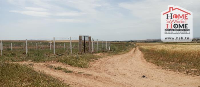 Borj El Amri&nbsp;Borj El Amri&nbsp;Terrain&nbsp;Terrain agricole&nbsp;Terrain agricole zoe � messadina borj amri