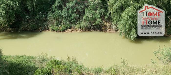 Testour&nbsp;Esslouguia&nbsp;Terrain&nbsp;Terrain agricole&nbsp;Terrain agricole meriah � slouguia tastour