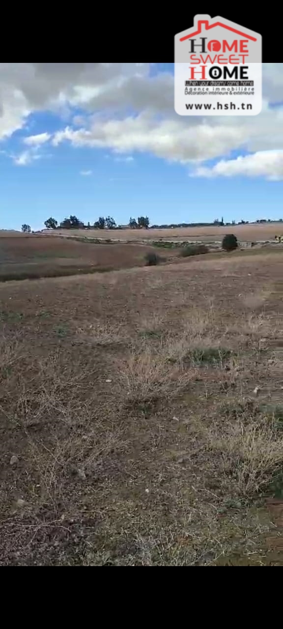 Terrain&nbsp;Terrain agricole