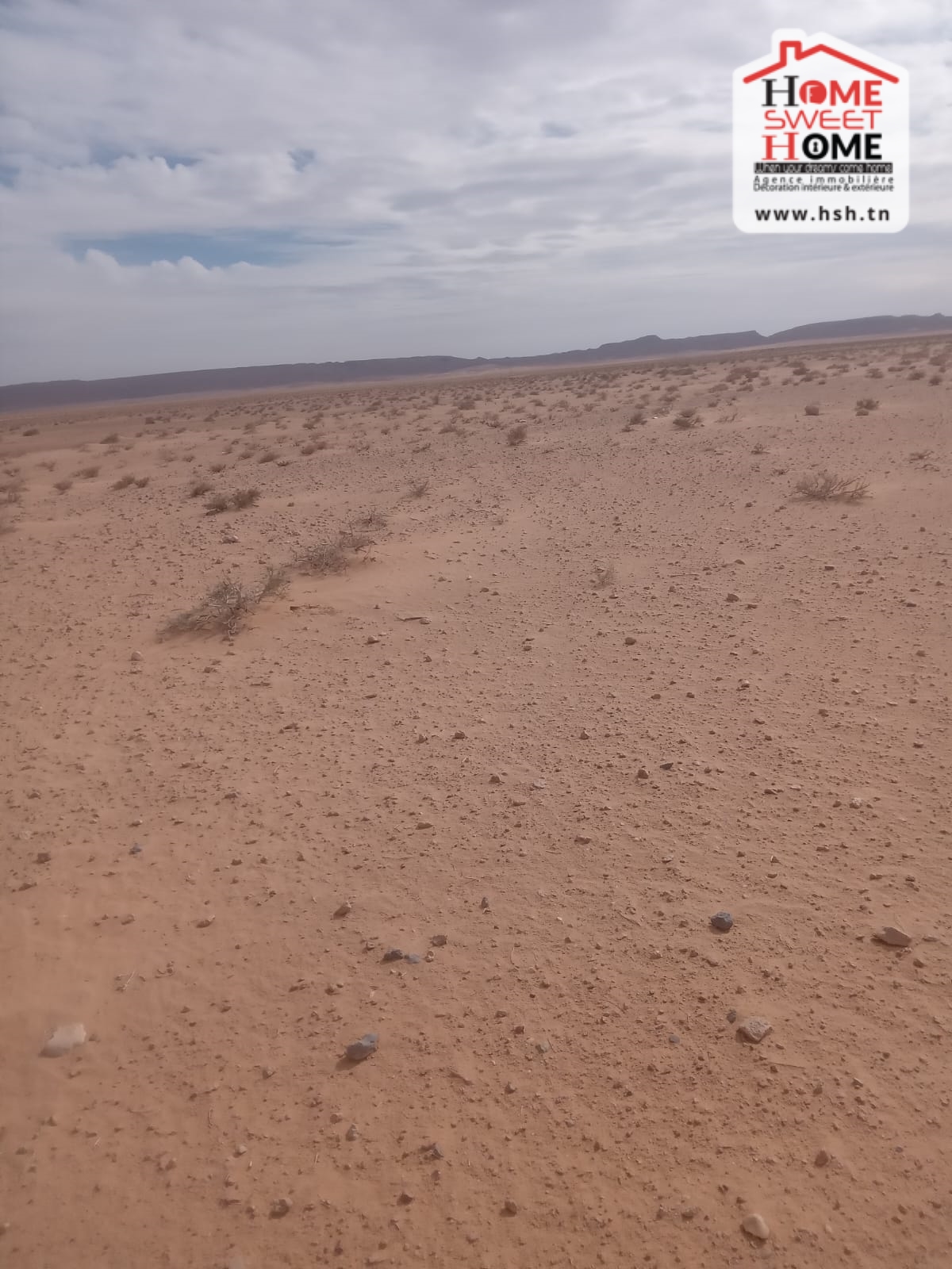 Gafsa Nord&nbsp;Ouled Zid&nbsp;Terrain&nbsp;Terrain agricole&nbsp;Terrain agricole kiara metlaoui gafsa