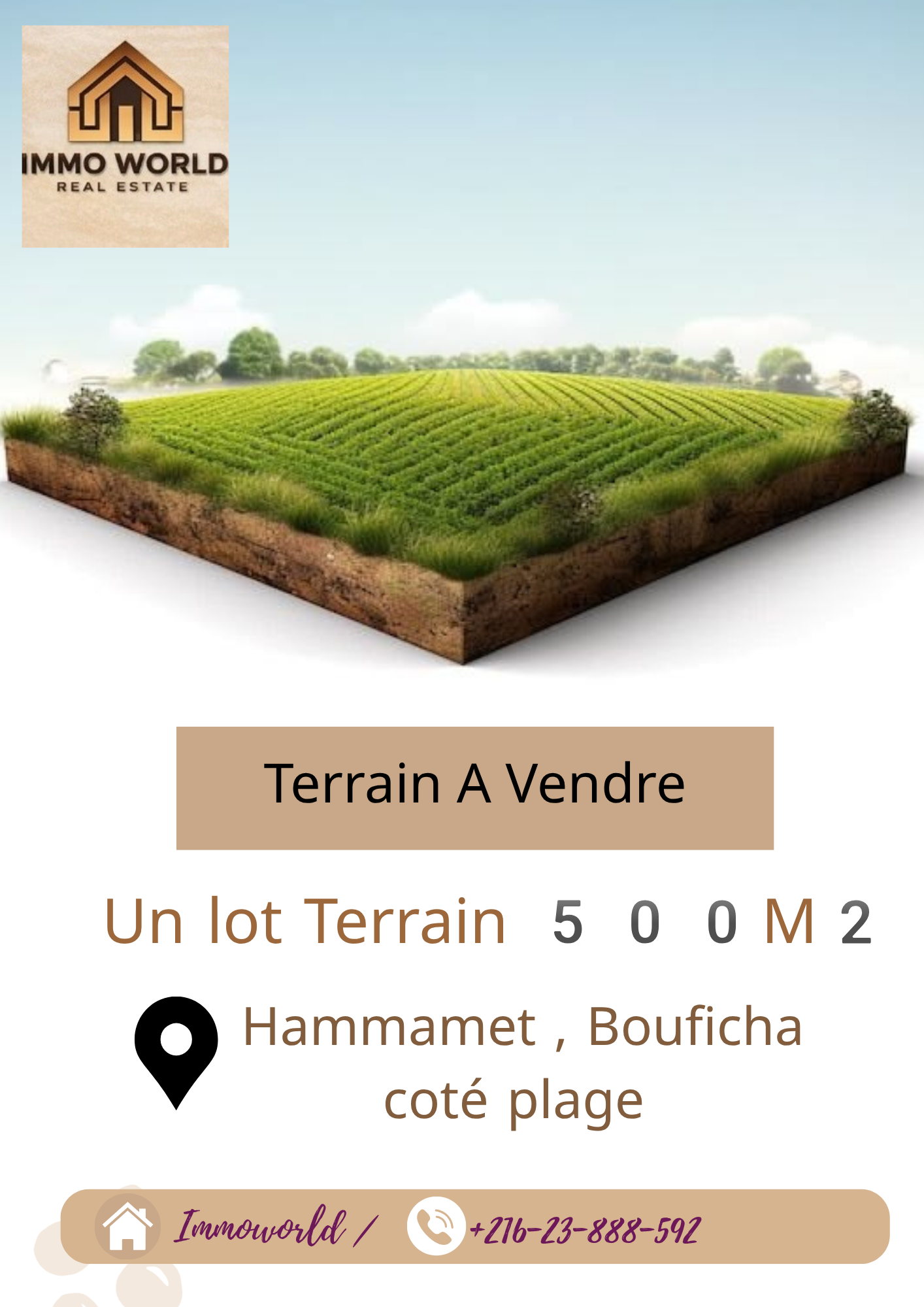 Terrain&nbsp;Terrain nu