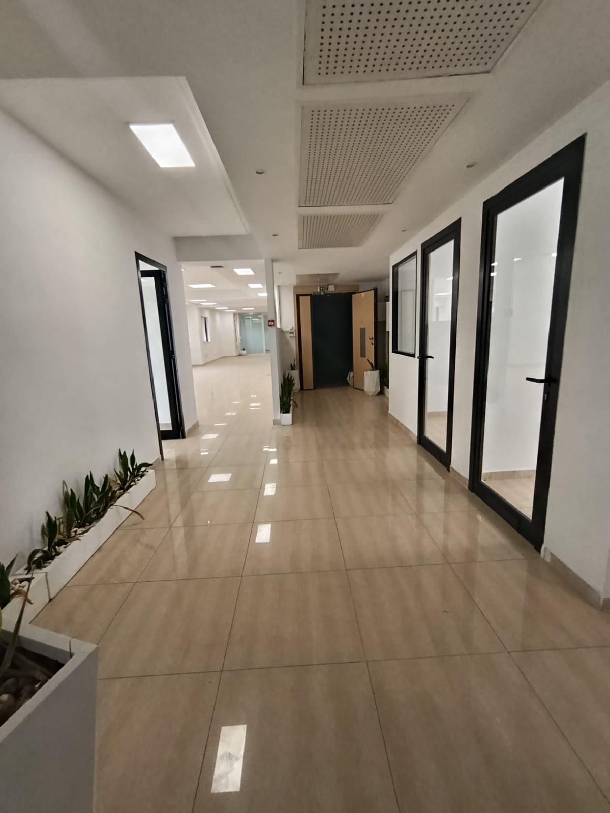 Cite El Khadra&nbsp;Zone urbaine nord&nbsp;Bureaux & Commerces&nbsp;Bureau&nbsp;Cun loc bureau d0805