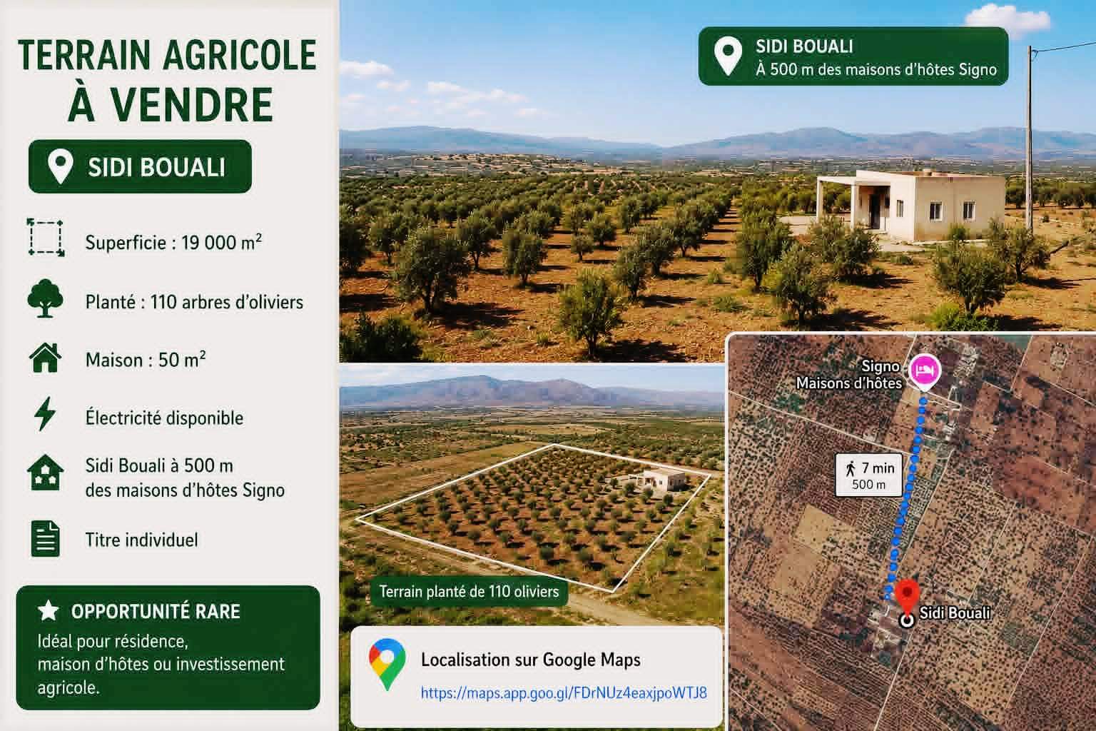 Terrain&nbsp;Terrain agricole