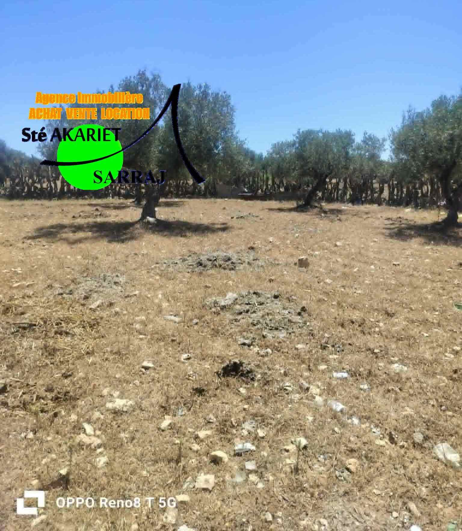 Terrain&nbsp;Terrain agricole