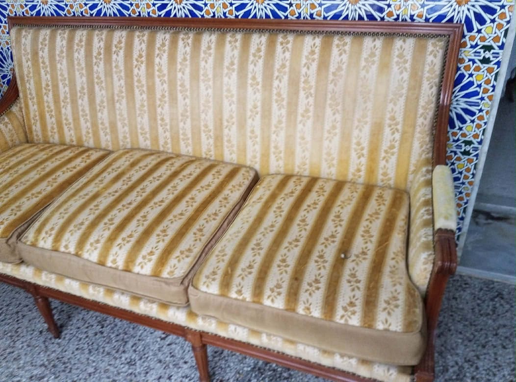 La Marsa&nbsp;Marsa Safsaf&nbsp;Autres meubles&nbsp;Autres&nbsp;Canap� louis 16 et mod�le art