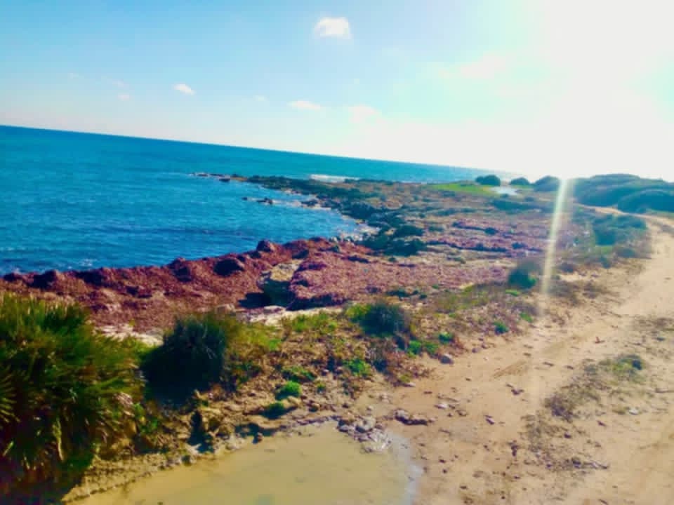 Terrain&nbsp;Terrain nu