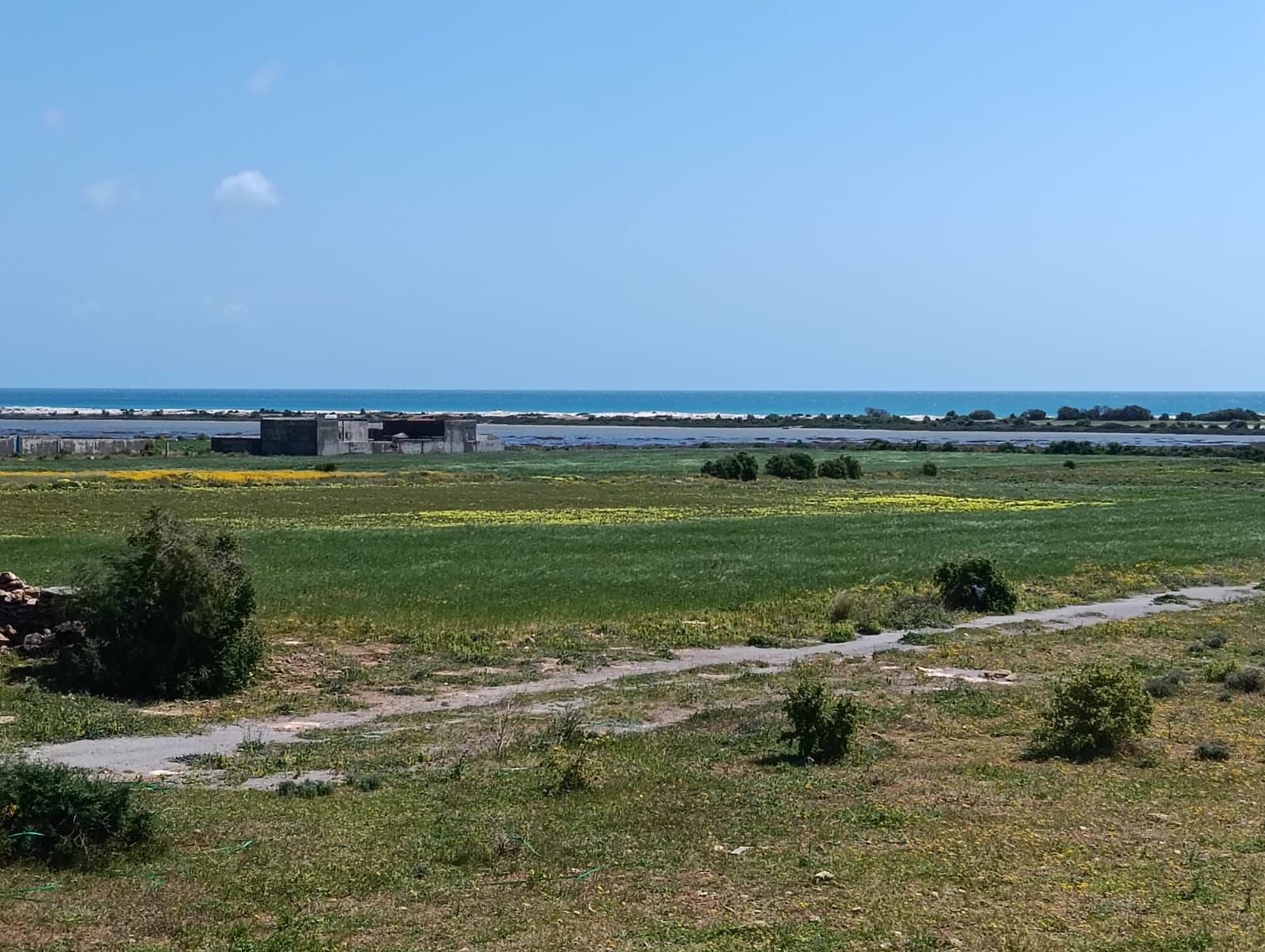 Menzel Temime&nbsp;Menzel Horr&nbsp;Terrain&nbsp;Terrain nu&nbsp;Des terrains � menzel elhor nabeul