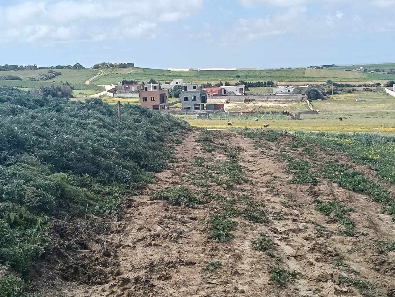 Terrain&nbsp;Terrain nu