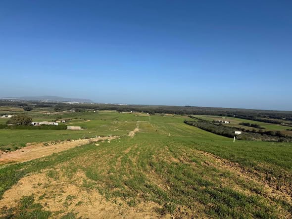 Kelibia&nbsp;Azmour&nbsp;Terrain&nbsp;Terrain nu&nbsp;Des lots  azmour