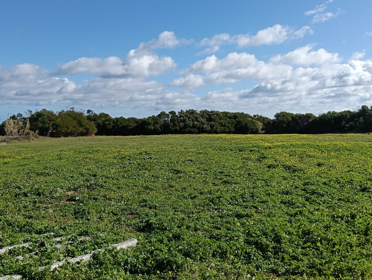 Terrain&nbsp;Terrain nu