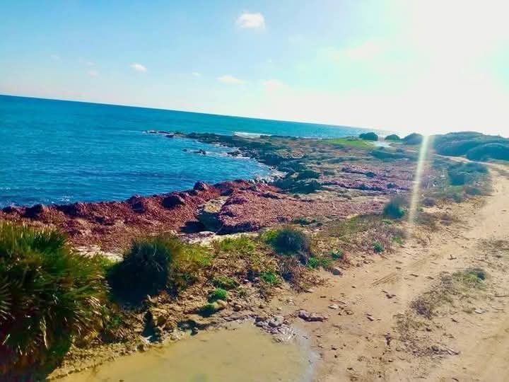 Kelibia&nbsp;Kerkouane&nbsp;Terrain&nbsp;Terrain nu&nbsp;Kelibia kerkouen