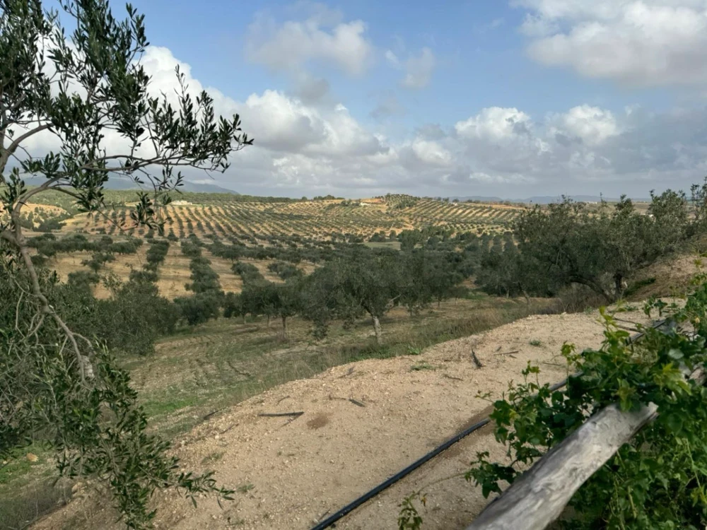 Terrain&nbsp;Terrain agricole