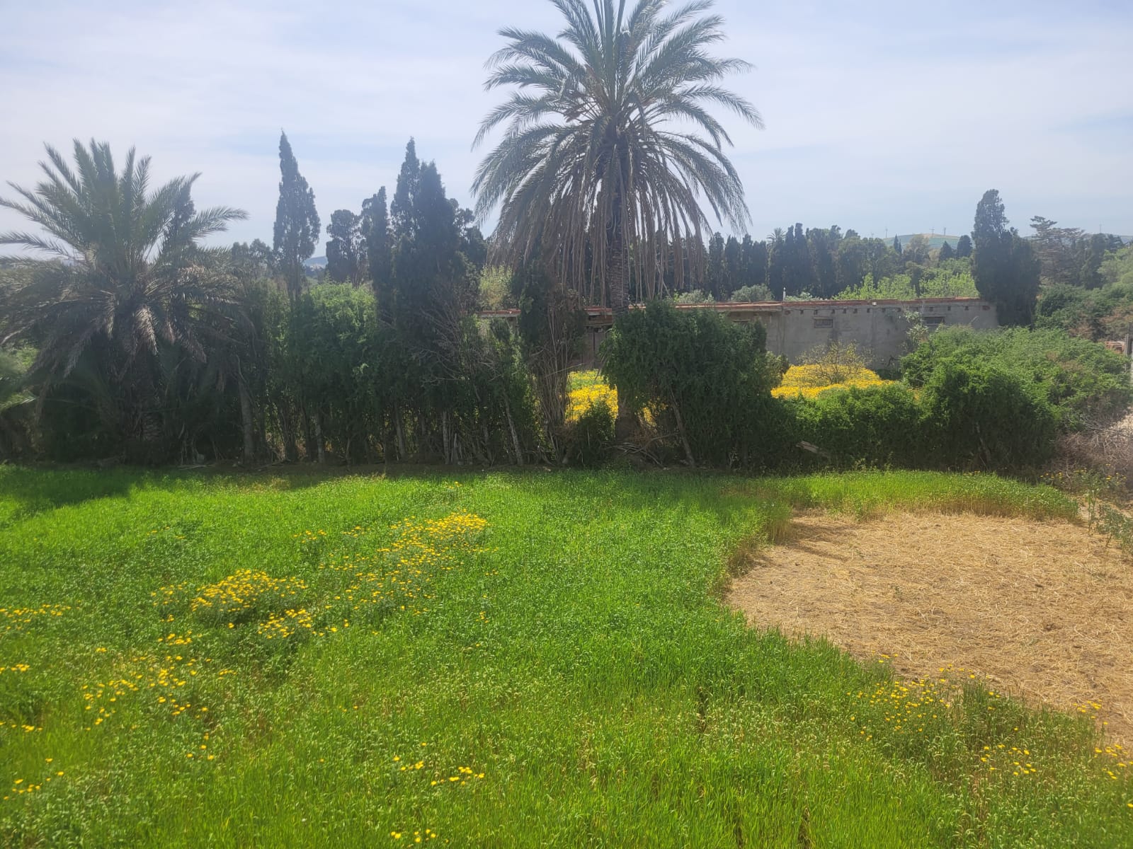 Terrain&nbsp;Terrain agricole