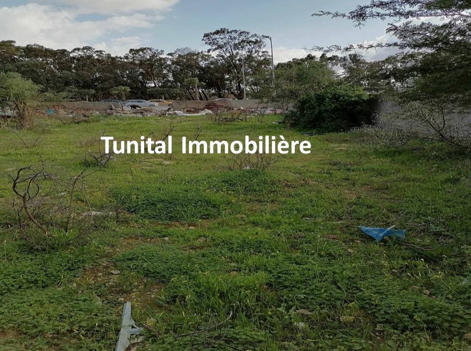 Terrain&nbsp;Terrain nu