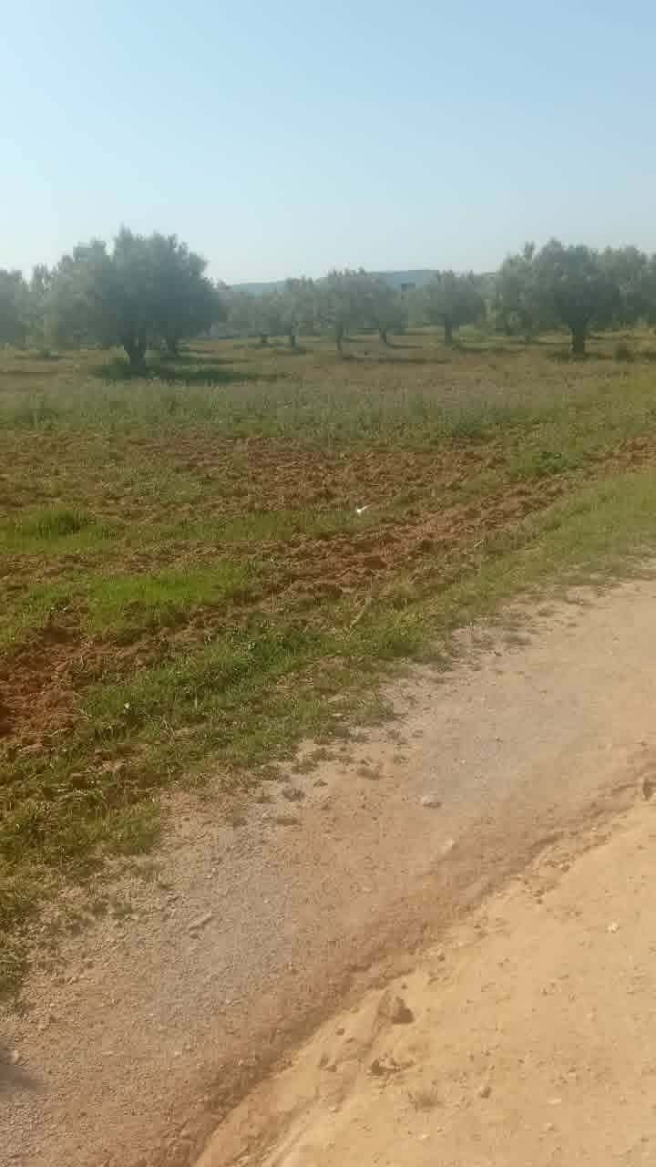 Terrain&nbsp;Terrain nu